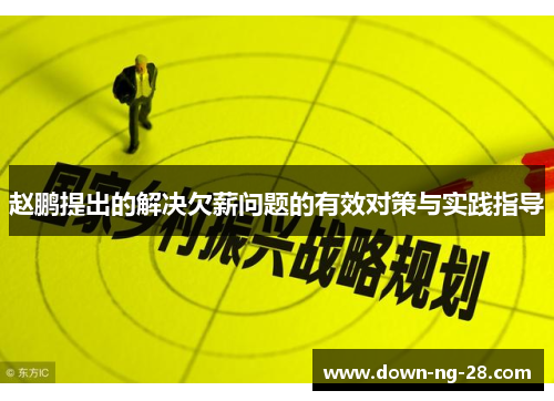 赵鹏提出的解决欠薪问题的有效对策与实践指导 赵鹏提出的解决欠薪问题的有效对策与实践指导