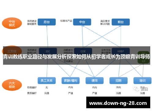 青训教练职业路径与发展分析探索如何从初学者成长为顶级青训导师