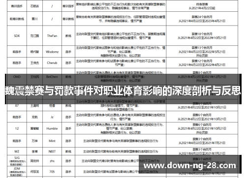 魏震禁赛与罚款事件对职业体育影响的深度剖析与反思 魏震禁赛与罚款事件对职业体育影响的深度剖析与反思